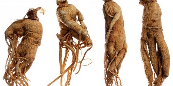 Ginseng Root fir Penis ze erhéijen